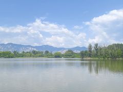 -翠湖国家城市湿地公园