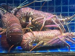 -徐记海鲜(梅溪新天地店)