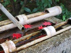 -常寂光寺