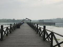 -溱湖国家湿地公园