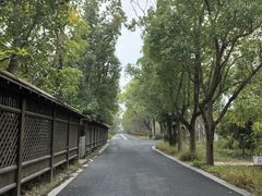 -同里国家湿地公园