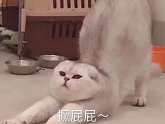 -雷门拉面·现熬骨汤(凯德来福士店)