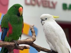 -北京野生动物园