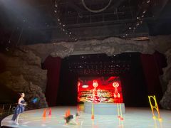 -重庆国际马戏城