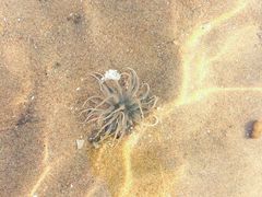 -北戴河东海水浴场