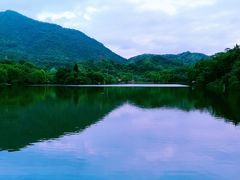 -深圳仙湖植物园