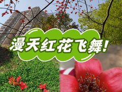 -晓港公园