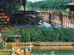 -大湾区中央湿地公园