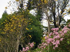 -白云山索道-售票处