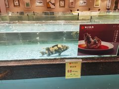 -西贝海鲜汇(槐安路店)