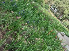 -国家植物园南园