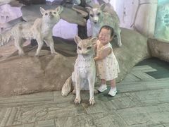 -华夏文旅海洋公园