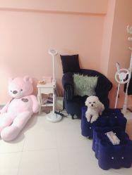 -Pink You美甲美睫纹绣定制中心