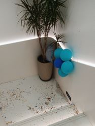 -LJOY丽锦造型·烫发染发