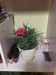-爱美睫美甲会馆