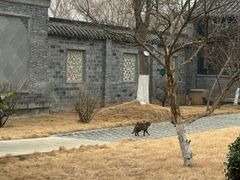 -吴敬梓故居