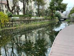 -兰溪青年公园