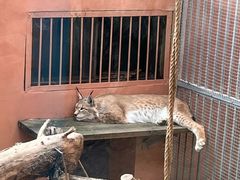 -青藏高原野生动物园