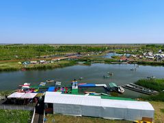 -春花秋色城市公园