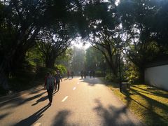 -深圳国际园林花卉博览园