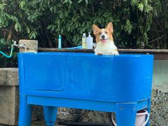 -汪说喵讲宠物乐园宠物酒店(红星美凯龙店)