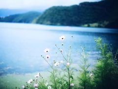 -丽江泸沽湖景区-里格半岛
