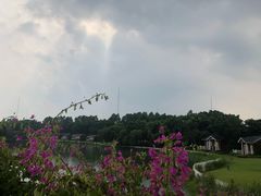 -迪茵湖田家舍生态农场