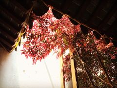 iphone_upload_pic-吴门人家·苏宴宫廷菜(拙政园店)