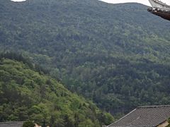 -齐岳山