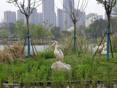 -武汉动物园