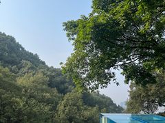 -南山植物园