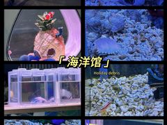 -北京海洋馆