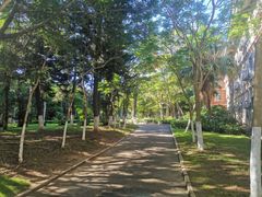 -厦门大学(思明校区)