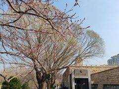 -元大都城垣遗址公园