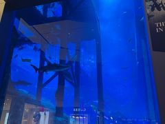 -迪拜水族馆及水下动物园