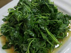 酒香金花菜-协和菜馆(凤凰街店)