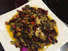 -山大王菌莊