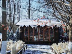 -长白岛森林公园