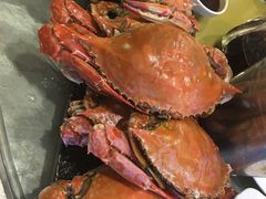 -渔娘渔家丹东海鲜(东直门店)