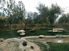 -北京野生动物园