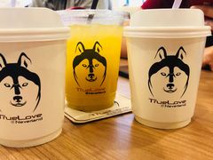 -TrueLove @ Neverland (Husky Cafe)