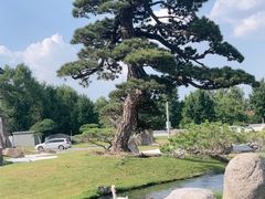 -罗红摄影艺术馆