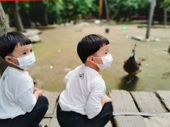 -哈尔滨北方森林动物园