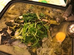 -外沙疍家棚酒楼