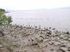 -深圳湾公园(南山区)