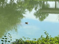 -莲峰云海景区
