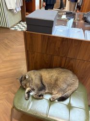 -优刻西服西装定制(金轮国际广场店)