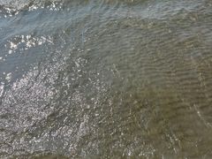 -江山半岛白浪滩景区