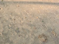 -那香海钻石沙滩浴场