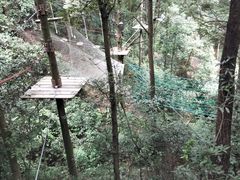 -衢州大荫山丛林飞越探险乐园